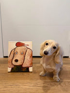 Pet Portraits