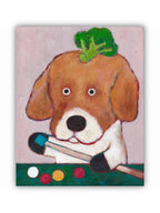 Pet Portraits