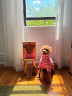 Pet Portraits