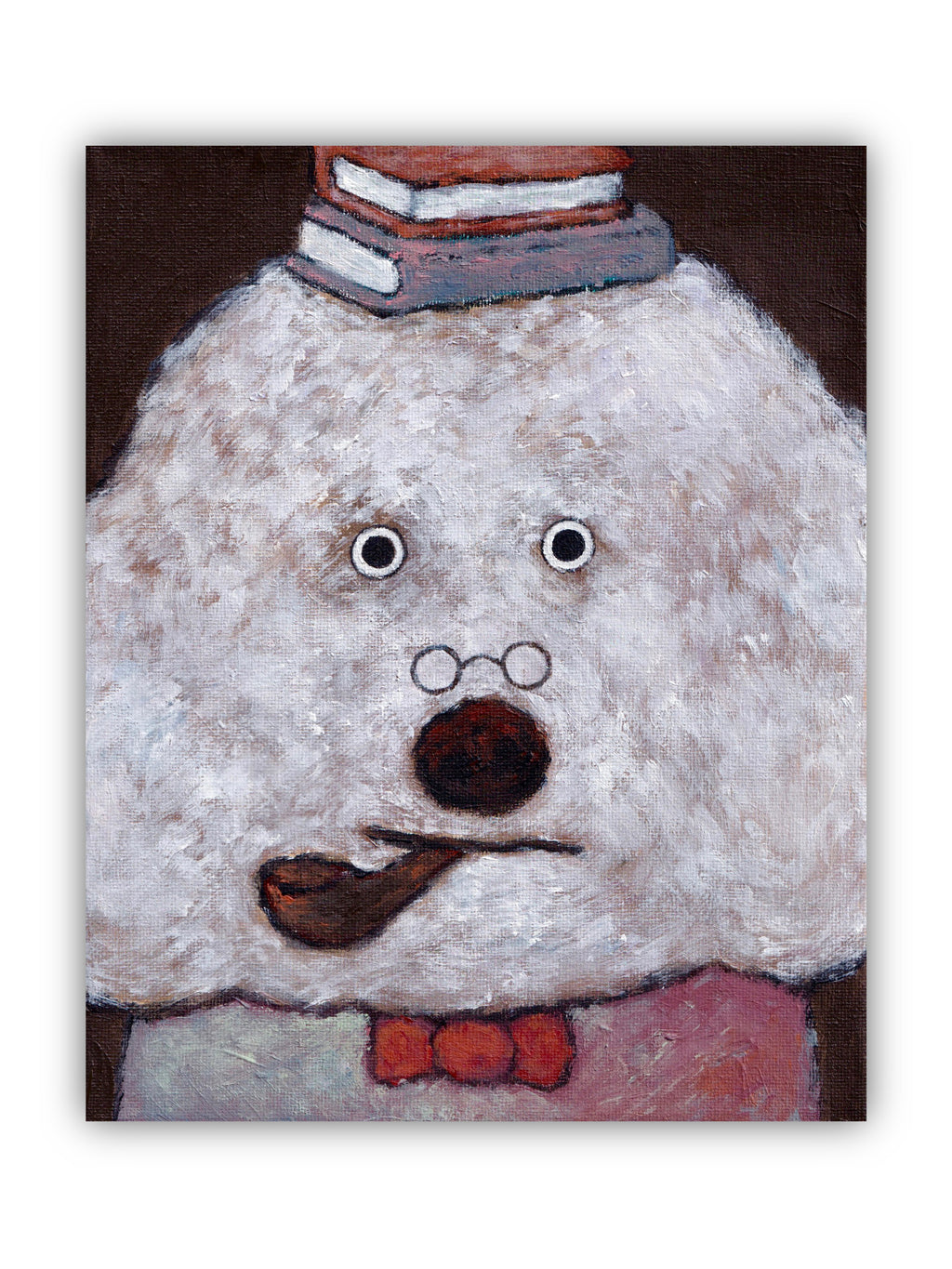 Pet Portraits
