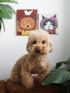 Pet Portraits