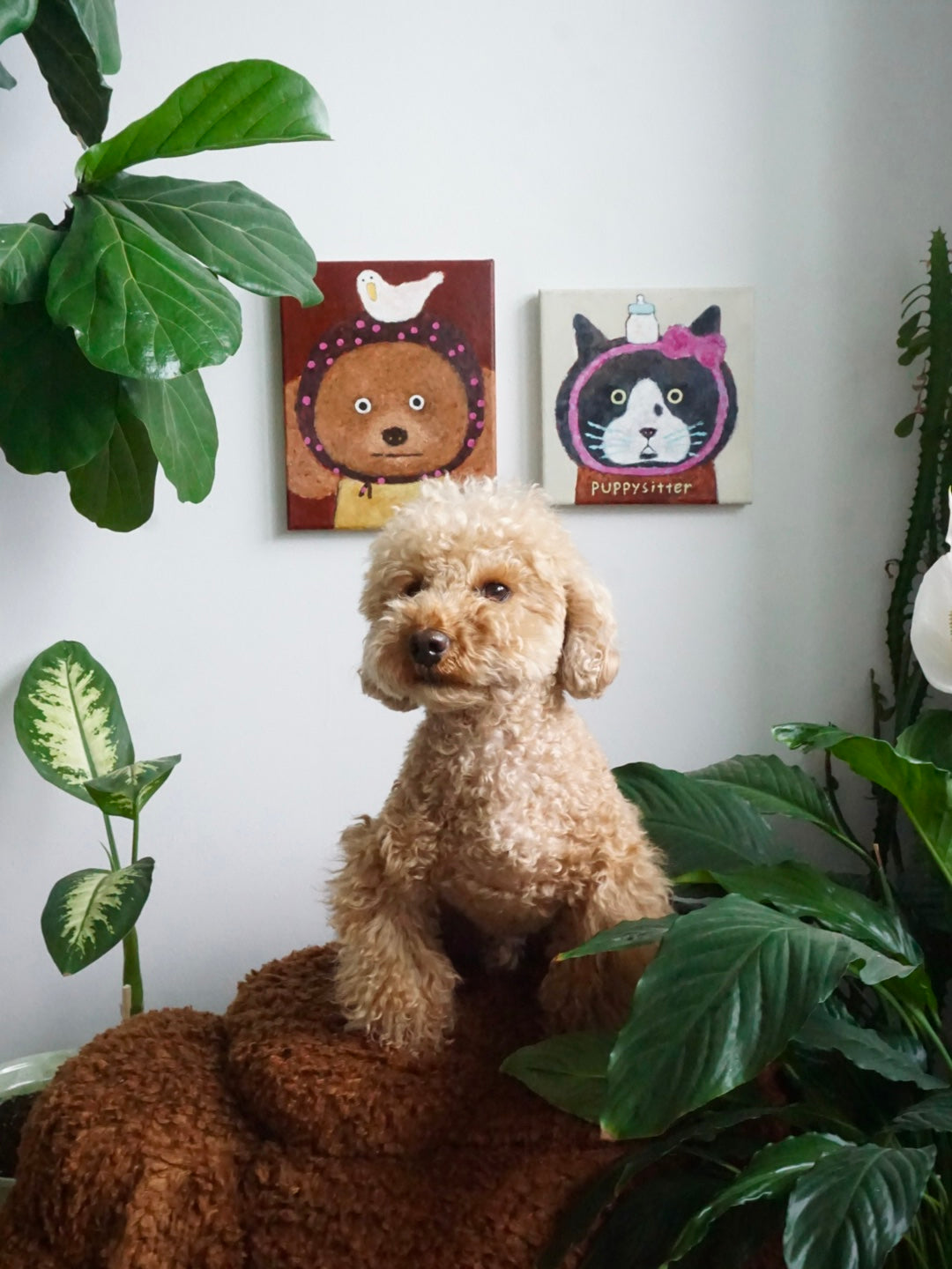 Pet Portraits