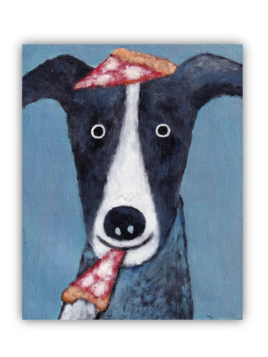 Pet Portraits