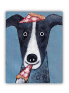 Pet Portraits