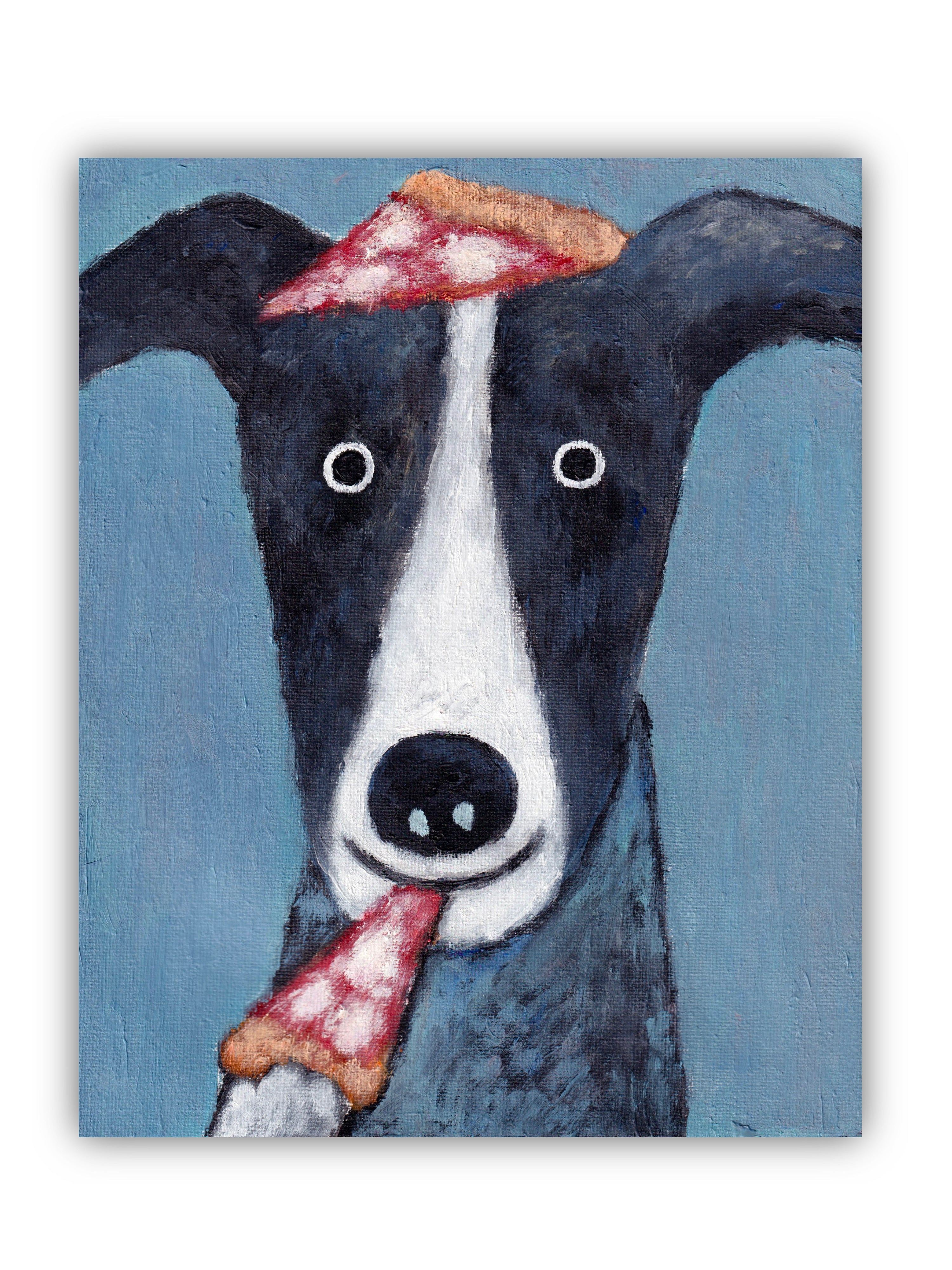 Pet Portraits