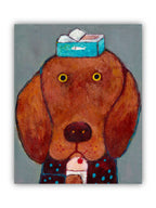Pet Portraits